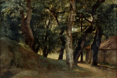 Las Willi Borghese, koniec XVIII i XIX w.