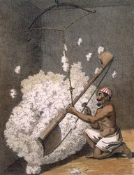Zgrzeblarska bawełna, 1782.