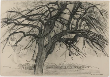 Studium wstępne na wieczór: Czerwone drzewo, 1908 (czarna kredka i węgiel na papierze)