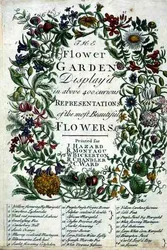Frontyspis do „The Flower Garden Displayed” Roberta Furbera (ok. 1674-1756), grawerowany przez Jamesa Smitha, wyd. 1732 (kolorowy grawerunek)
