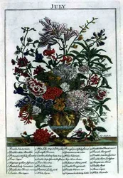 lipiec, z „The Flower Garden Displayed” Roberta Furbera (ok. 1674-1756), sztych. James Smith, wyd. 1732 (kolorowy grawerunek)