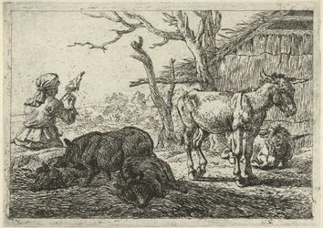 Kobieta spinning, świnia i osły Różne zwierzęta (tytuł serii)