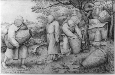 Pszczelarze, „Jeśli wiesz, gdzie jest skarb, możesz go okraść”, ok. 1567–1568