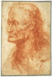 Studium głowy starca, ok. 1602.