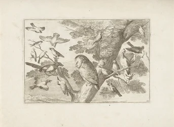 Uil en andere vogels in boom Różne ptaki (tytuł serii) Najdoskonalsze figury różnych ptaków (...) (tytuł serii)
