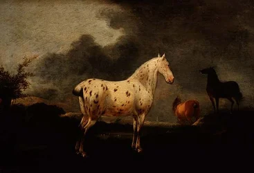 Pejzaż z pstrokatym koniem, ok. 1670 (olej na desce)