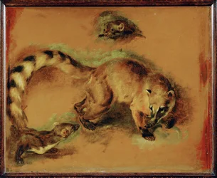 Coati i mały gryzoń (obraz na płótnie)