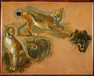 Ryś, głowa wilka (obraz na płótnie)