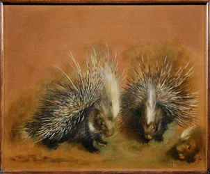 Jeżozwierz (obraz na płótnie)