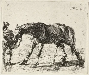Sikający koń
