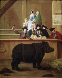 Nosorożec: wystawa Klary, nosorożca indyjskiego. 1751. Weneckie muzeum z XVIII wieku. Ca