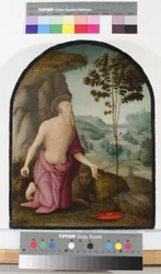 Święty Hieronim na pustyni, ok. 1510-15