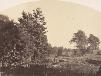 Leśny potok, 1856.