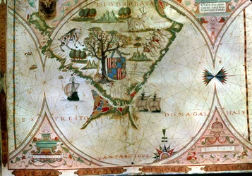 Cieśnina Magellana (welum)