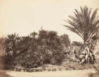 Ogród Pincian, Rzym, 1853-56.