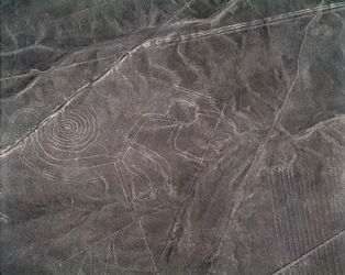 Figura małpy z lotu ptaka, Linie Nazca (zdjęcie)