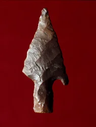Starożytność egipska: grot strzały ze stanowiska Fajum (Fajum lub Fajum) w Egipcie. Okres predynastyczny. Verone, Museo Civico di Storia Naturale, Włochy