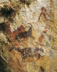 Scena polowania z jeleniem i koziorożcem (25000-15000 pne). Górny paleolit. El Perello, jaskinia La Cabra Freixet.