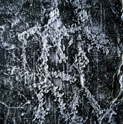 Scena godowa. Prehistoryczne graffiti w dolinie Camonica, Foppe di Nardo.