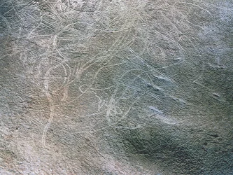 Zarysy ludzkich postaci kobiecych i mamutów, okres paleolitu (ok. 40000-12000 p.n.e.) (zdjęcie)
