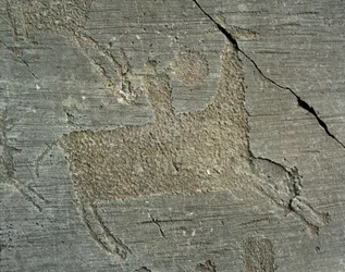Prehistoria, cywilizacja Kamunów, sztuka naskalna: rytowana skała przedstawiająca wojownika na koniu z tarczą. Okres między neolitem a epoką brązu. Capo di Ponte, Parco nazionale delle incisioni rupestri di Naquane, Valcamonica, Val Camonica, Włochy