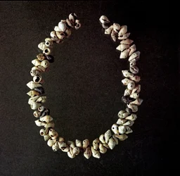 Prehistoria, epoka kamienia: naszyjnik z muszli z jaskini w Polesine, Wenecja Euganejska. Środkowy neolit. Rzym, Museo Nazionale Preistorico Etnografico Luigi Pigorini