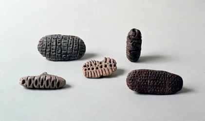 Prehistoria: różne pintadery (pieczęcie) neolitycznej terakoty od Caverna Delle Arene do Kandyda (Liguria). Pegli, Muzeum Villa Pallavicini