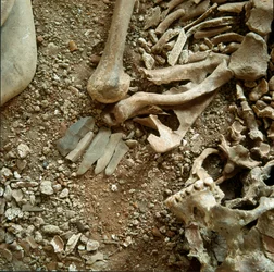 Prehistoria: podwójny grobowiec dorosłych i dzieci. Szczegółowy widok pogrzebowej trousseau z jaskini Candid Arene (Finale Liguria), Liguria. Mezolitu, 7000-6000 pne. Geny, museo di archeologia ligure