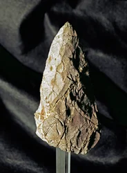 Prehistoria: migdałowaty pięściak krzemienny. Dolny paleolit. Z Torrimpietry koło Rzymu. Rzym, Narodowe Muzeum Prehistoryczne i Etnograficzne im. Luigiego Pigoriniego, Włochy