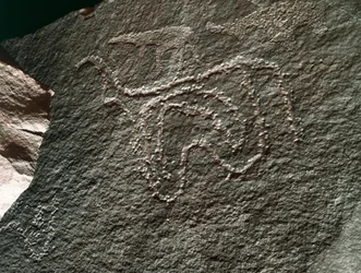 Prehistoria, sztuka naskalna: poważna skała przedstawiająca bydło. Styl Taziny. Epoka kamienia 5000-2000 p.n.e. Taghit, Haut plateau du Hoggar (Ahaggar), Algieria