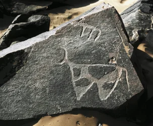 Prehistoria, sztuka naskalna: poważna skała przedstawiająca bydło. Styl Taziny. Epoka kamienia 5000-2000 p.n.e. Taghit, Haut plateau du Hoggar (Ahaggar), Algieria