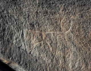 Prehistoria, sztuka naskalna: poważna skała przedstawiająca bydło. Styl Taziny. Epoka kamienia 5000-2000 p.n.e. Taghit, Haut plateau du Hoggar (Ahaggar), Algieria