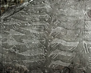 Prehistoria, sztuka naskalna: rytowana skała z przedstawieniami sztyletów i wołów. Epoka miedzi. Okres eneolityczny (chalkolit). Skała nr 1. Cemmo (Brescia), Narodowy Park Archeologiczny Głazów w Cemmo, Włochy