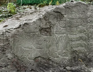 Prehistoria, sztuka naskalna: skała grobowa z przedstawieniami jeleni i bydła. Epoka miedzi. Okres eneolityczny (chalkolit). Skała nr 1. Cemmo (Brescia), Parco Archeologico Nazionale dei Massi di Cemmo, Włochy