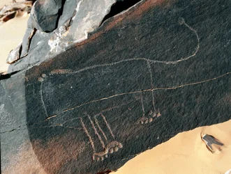 Prehistoria, sztuka naskalna: nagrobek przedstawiający lwa. Styl Tazina. Epoka kamienia 5000-2000 p.n.e. Taghit, Haut plateau du Hoggar (Ahaggar), Algieria