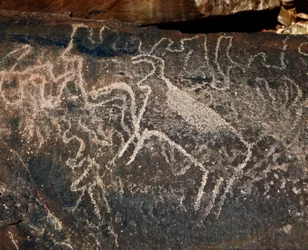 Prehistoria, sztuka naskalna: nagrobek przedstawiający bydło. Styl Taziny. Epoka kamienia 5000-2000 p.n.e. Taghit, Haut plateau du Hoggar (Ahaggar), Algieria