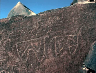 Prehistoria, sztuka naskalna: nagrobek przedstawiający bydło. Styl Taziny. Epoka kamienia 5000-2000 p.n.e. Taghit, Haut plateau du Hoggar (Ahaggar), Algieria