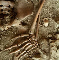 Prehistoria: nastoletni grób. Szczegółowy widok pogrzebowej trousseau z jaskini Candid Arene (Finale Ligure), Liguria. Górny paleolit, 24000 pne. Geny, museo di archeologia ligure
