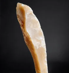 Prehistoria: czubek krzemienia z Nekropoli Arene Candide (Finale Liguria), Liguria. Górny paleolit, epoka kamienia. Geny, museo di archeologia ligure