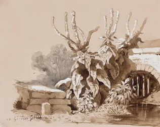 Studium roślin przy rowie, z uzupełnieniami instruktora, 1856 (ołówek, sepia i gwasz na papierze)