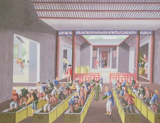 Herbata, z albumu 23 obrazów, ok. 1790 (kolor na papierze)