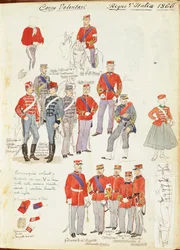 Mundury Ochotniczego Korpusu Armii Królestwa Włoch autorstwa Quinto Cenni, kolorowa tablica