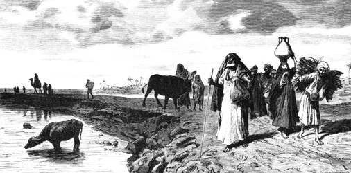 Chaussee w delcie, w czasie powodzi, 1880