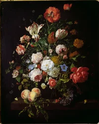 Martwa natura