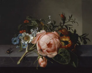 Martwa natura z gałązką róży, chrząszczem i pszczołą, 1741