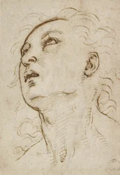 Głowa młodego mężczyzny patrzącego w górę, ok. 1497-1504 (pióro i brązowy tusz na metalowym puncycie na kremowym papierze)