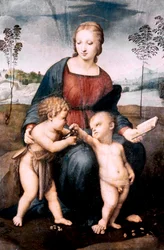 Madonna Szczygieł, 1507