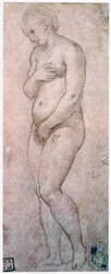 Studium Wenus, ok. 1500-1520