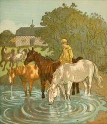 Chłopiec rolnik pojenia koni, ok. 1881 r.