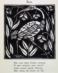 Ibis - w "Le Bestiaire ou cortege d